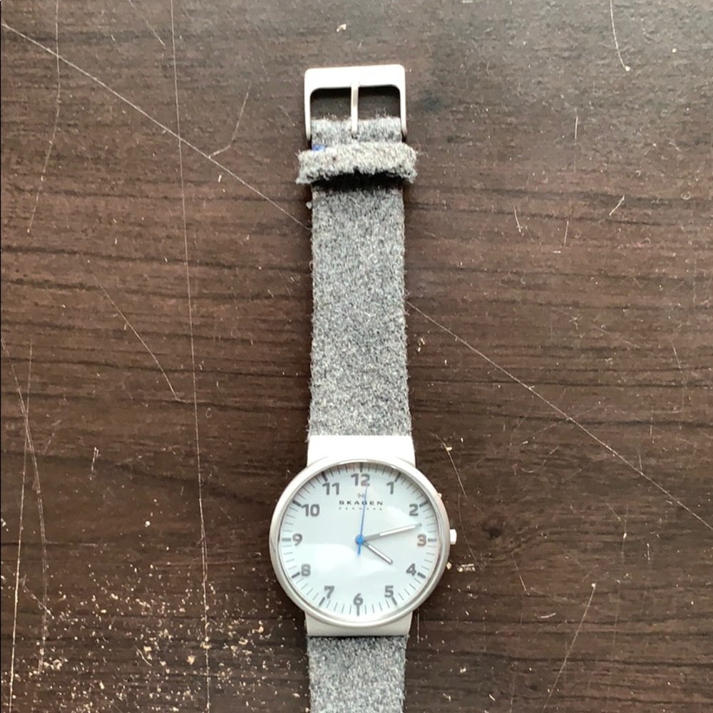 Skagen Watch